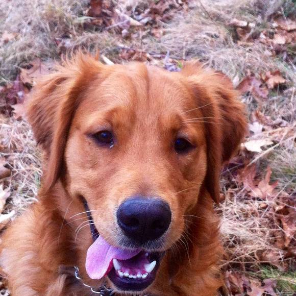 Meet your Posher, Cyndi - Picture 1 of 1